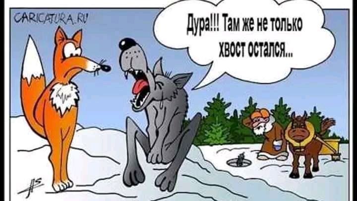 дураЦПам же нетолько хвост остался