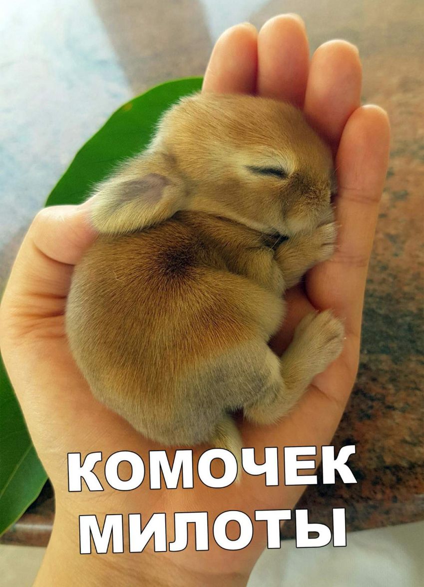 м платы