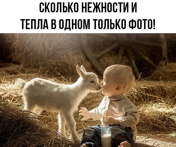 ОКОЛЬКО НЕЖНООТИ И ТЕПЛА В ОДНОМ ТОЛЬКО ФОТО