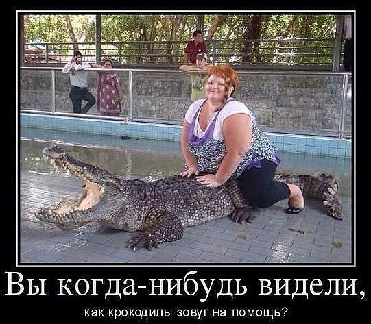Вы когда нибудь видели как крокодилы зовут на помощь