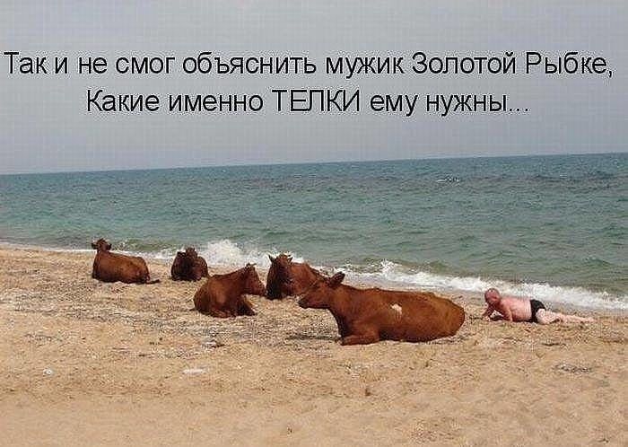 Так и не смог объяснить мужик Золотой Рыбке Какие именно ТЕПКИ ему нужны