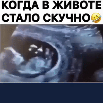 КОГДА В ЖИВОТЕ СТАЛО СКУЧНО