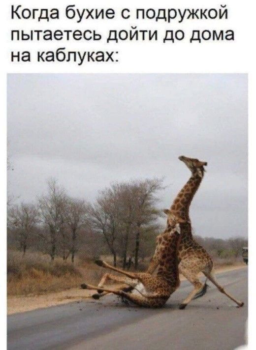 Когда бухие с подружкой пытаетесь дойти до дома на каблуках