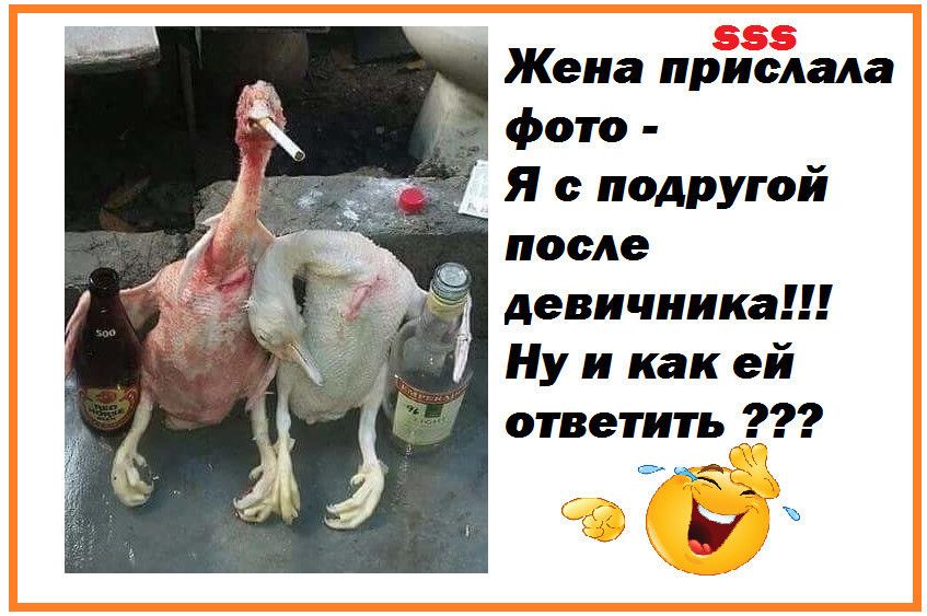 Жена прислала фото Я с подругой после девичника Ну и как ей ответить 55 у