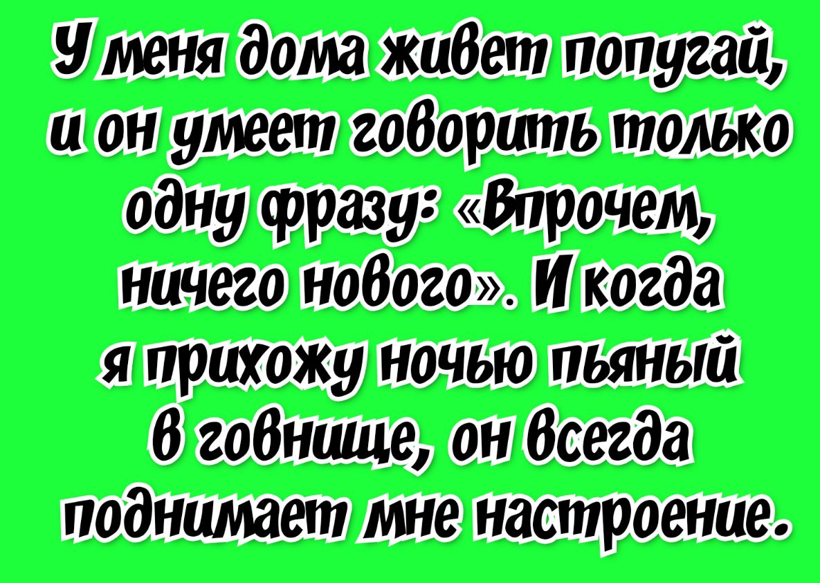 иили т ции или я а и