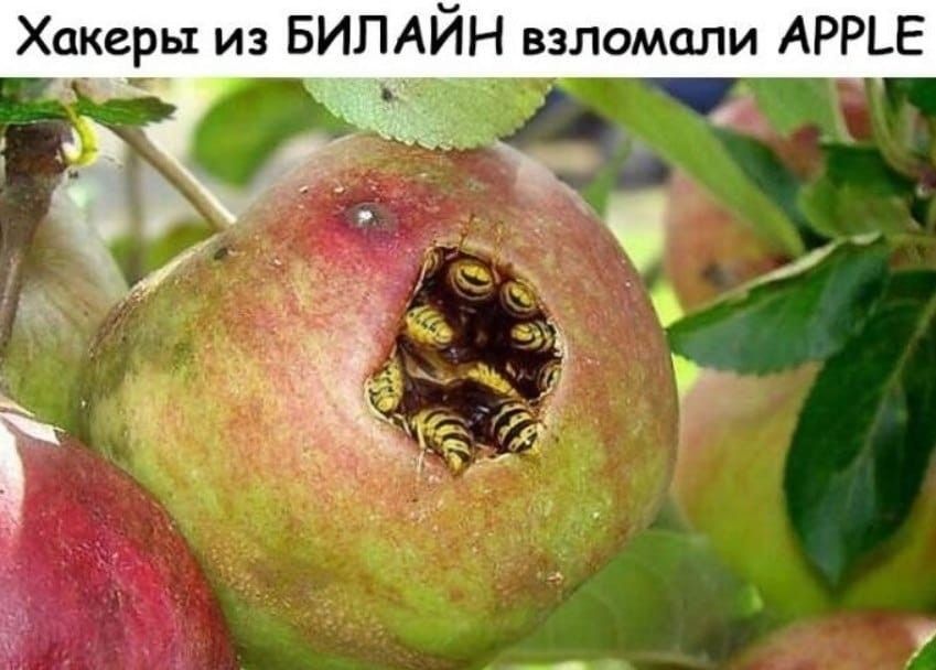 Хакеры из БИЛАЙН взломали АРРЬЕ 3 __ _ Йа дд Ёи