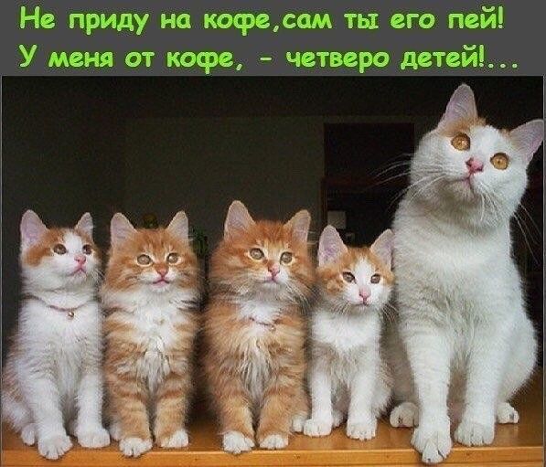 ч Мат а _ т 3 Г к 3553 Ё э