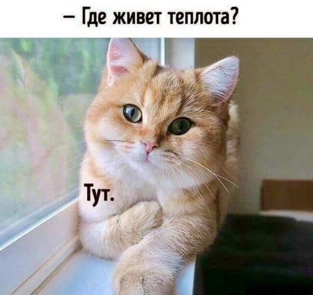 Где живет теплота 3 и