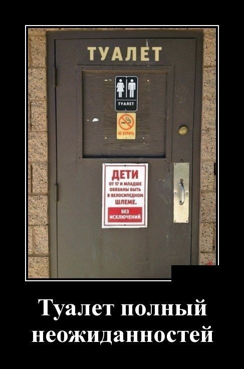 Туалет полный неожиданностей