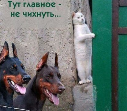 Тут гАавное С не чихнуть