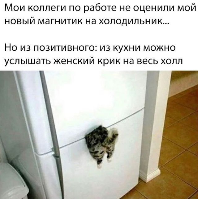 МОИ КОЛЛЕГИ ПО работе не ОЦЕНИЛИ МОЙ НОВЫЙ МдГНИТИК Нд ХОЛОДИЛЬНИК НО ИЗ ПОЗИТИВНОГОЕ ИЗ КУХНИ МОЖНО УСПЫШЗТЬ женский КРИК Нд ВЕСЬ ХОЛЛ