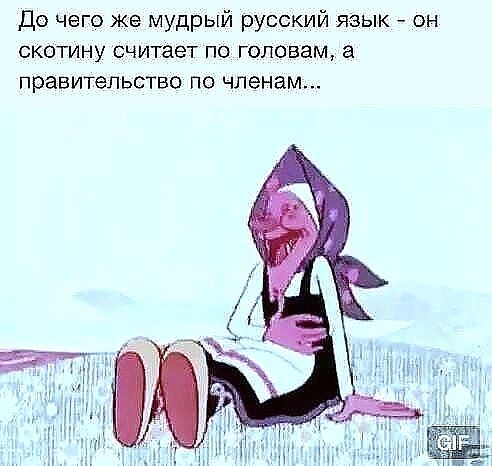 До чего же мудрый русский язык он скотину считает по головам правительство по членам