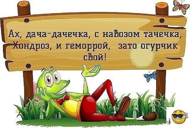 ндрщ и гвмпррпй затп пгурчик _ сдай