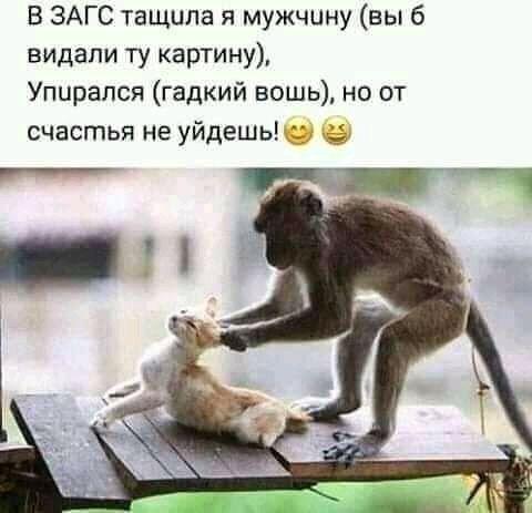 В ЗАГС тащила я мужчину вы 6 видали ту картину Упирапся гадкий вошь но от счастья не уйдешь __ _