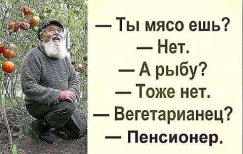 Ты мясо ешь Нет А рыбу Тоже нет Вегетарианец Пенсионер