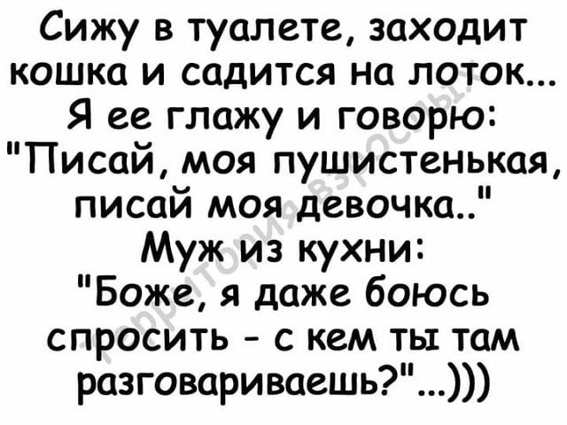 Сижу в туалете заходит кошка и садится на поток Я ее глажу и говорю Писай моя пушистенькая писай моя девочка Муж из кухни Боже я даже боюсь спросить с кем ты там разговариваешь