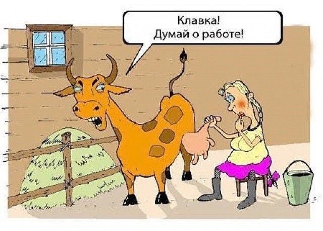 Кпавка Думай работе