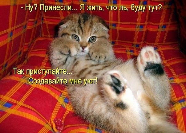 Ну ПринеЪпи Ёжить чтЁ пь буду тут