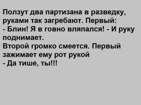 Попзут два партизана в разведку руками так загребают Первый Блин Я в говно впяпапся И руку поднимает Второй громко смеется Первый зажимает ему рот рукой Да тише ты