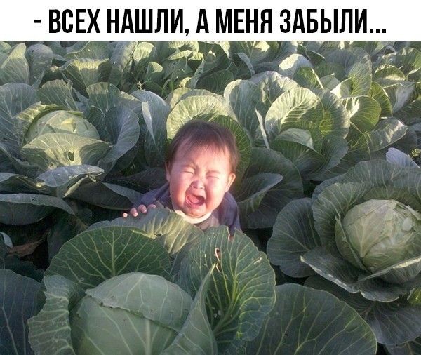 ВБЕХ НАШЛИ АМЕНН ЗАБЫЛИ _