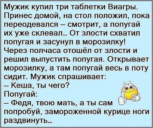 Мужик купил три таблетки Виагры Принес домой на стол положил пока 1 переодевапся смотрит а попугай их уже склевал От злости схватил морозилку а там попугай весь в поту сидит Мужик спрашивает т Кеша ты чего Попугай Федя твою мать а ты сам попробуй замороженной курице ноги раздвинуть