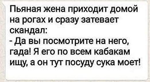 Пьяная жена приходит домой на рогах и сразу затевает скандал да вы посмотрите на него гада Я его по всем кабакам ищу а он тут посуду сука моет
