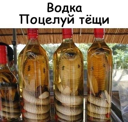 Вод_а __ Поцелуи тещи ъ Чі