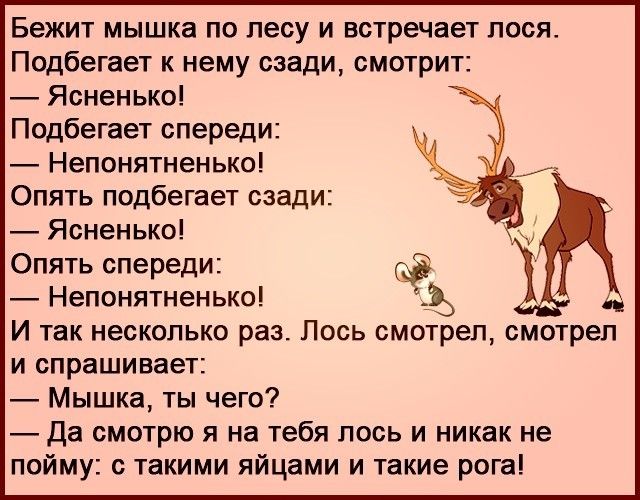 Бежит мышка по лесу и встречает лося Подбегает к нему сзади смотрит Ясненько Подбегает спереди Непонятненько Опять подбегает сзади Ясненько Опять спереди Непонятненько И так несколько раз Лось смотрел смотрел и спрашивает Мышка ты чего да смотрю я на тебя лось и никак не пойму с такими яйцами и такие рога