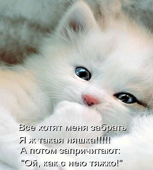 ВЁЭЭ ХОГЯ Г мать Я ж такая гшшка А потом запричитаюг п Ои мы с гюь пиши
