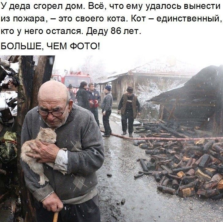 У деда сгореп дом Всё что ему удалось вынести из пожара это своего кота Кот единственный кто у него остался Деду 86 лет БОЛЬШЕ ЧЕМ ФОТО _ _