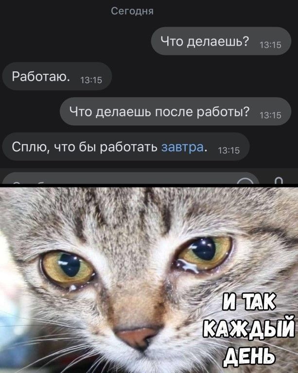 Сегодня Что делаешь 1315 Работаю 1315 Что делаешь после работы 1315 Сплю что бы работать завтра 1315