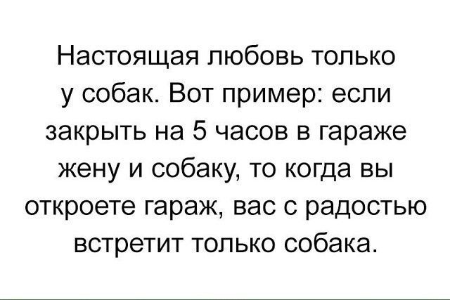 Настоящая любовь только у собак Вот пример еспи закрыть на 5 часов в гараже жену и собаку то когда вы откроете гараж вас с радостью встретит только собака