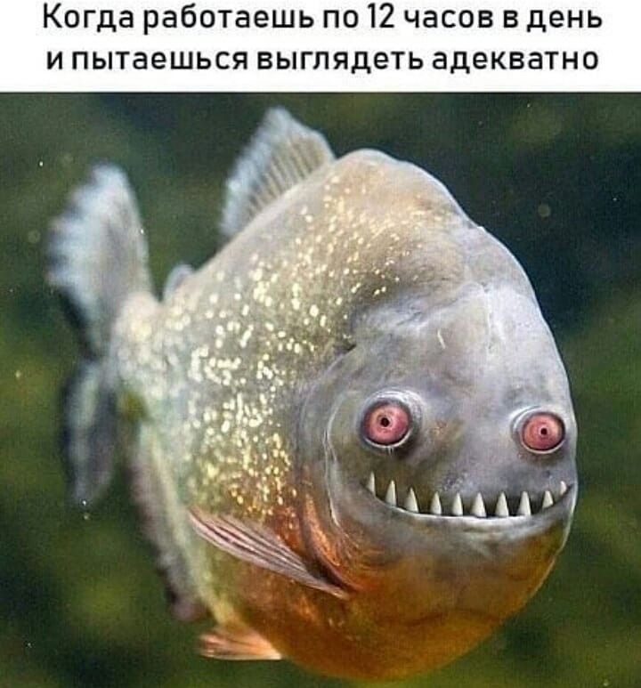 Когда работаешь по 12 часов в день и пытаешься выглядеть адекватно