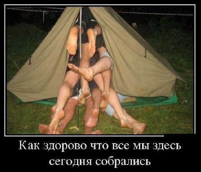 сегодня собрались