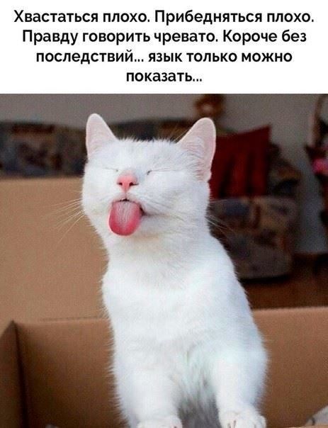 Хвастаться плохо Прибедняться плохо Правду говорить чревато Короче без ПОСЛЕДСТВИЙ ЯЗЫК ТОЛЬКО МОЖНО показать