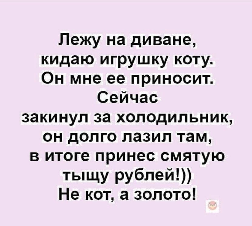 Лежу на диване кидаю игрушку коту Он мне ее приносит Сейчас закинул за холодильник он долго лазил там в итоге принес смятую тыщу рублей Не кот а золото