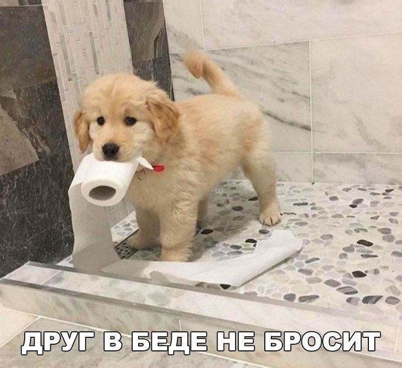 Юз зт