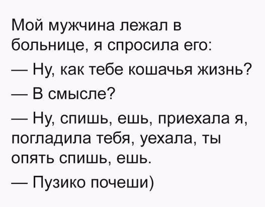 Мой мужчина лежал в больнице я спросила его Ну как тебе кошачья жизнь В смысле _ Ну спишь ешь приехала я погладила тебя уехала ты опять спишь ешь Пузико почеши