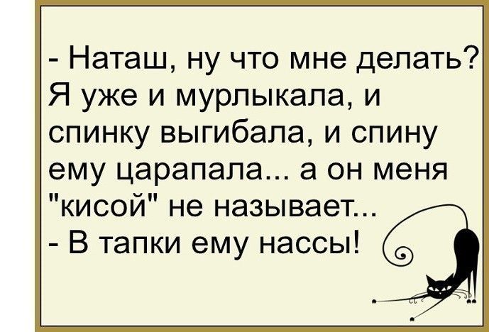 Наташ ну что мне делать Я уже и мурлыкала и спинку выгибала и спину ему царапала а он меня кисой не называет В тапки ему нассы