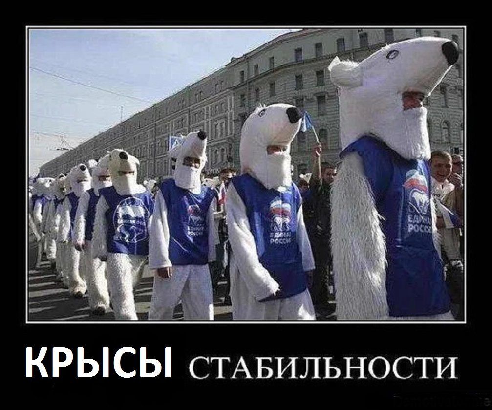 КРЫСЫ СТАБИЛЬНОСТИ