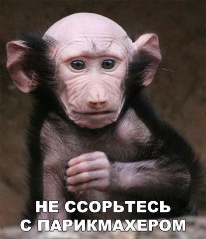 иё ссогьтвсь
