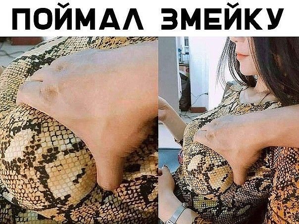 Й ИМА ЗМЕ ПО