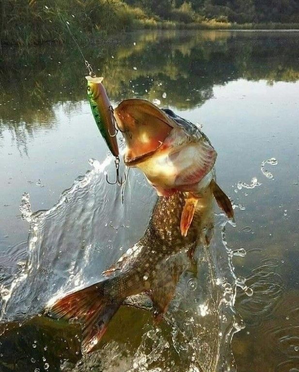 И