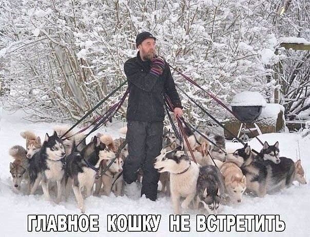 ГЛАВНФЕ УШЁ ЁСТРЕТИТЬ
