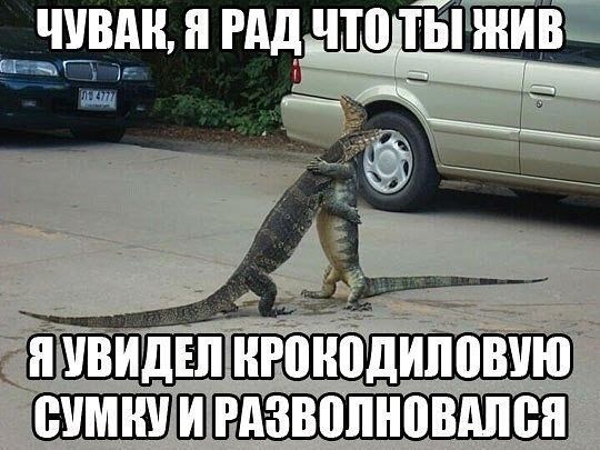 душ и гид что ты жив _ де виш пт