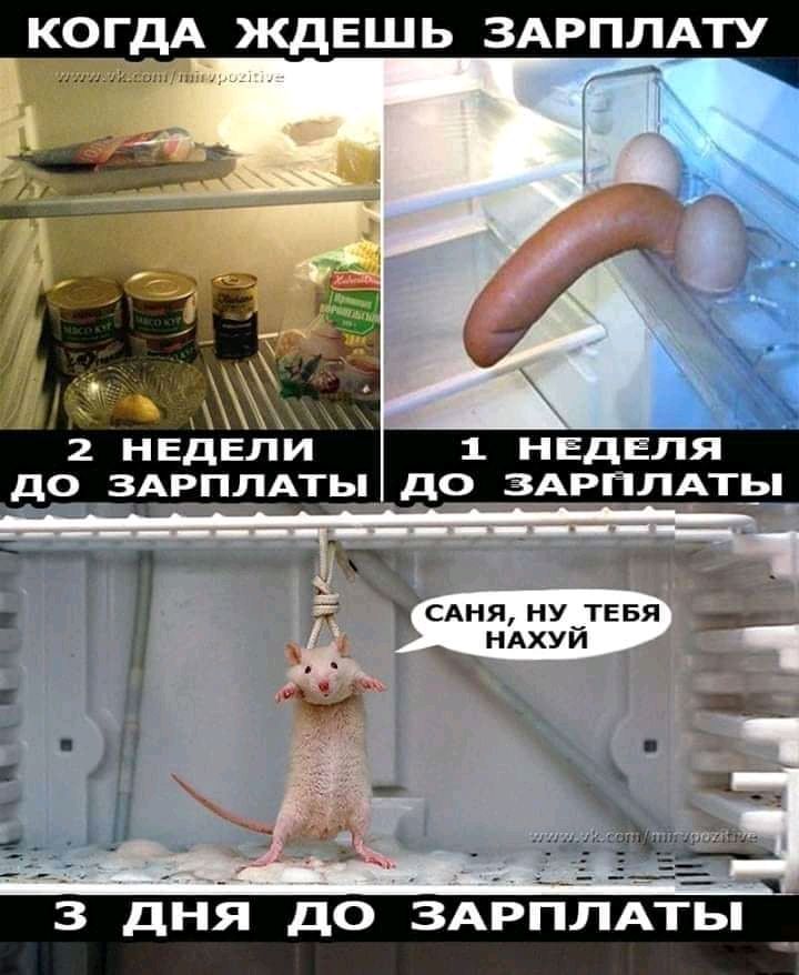 когдА ждешь ЗАРПЛАТУ в 7 ж _ _ А 2 Н ЕД ЕЛ И 1 Н ЕД ЁЛЯ _ до 3АРПЛАТЬ до ЗАРПЛАТ САня НУуТЕБЯ _ _ ндхуи дня до ЗАРПЛАТіъ