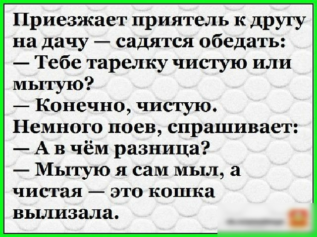 Приезжает приятель к другу на дачу садятся обедать Тебе тарелку чистую или мытую Конечно чистую Немного поев спрашивает А В чём разница Мытую я сам мыл а чистая это кошка вылизала