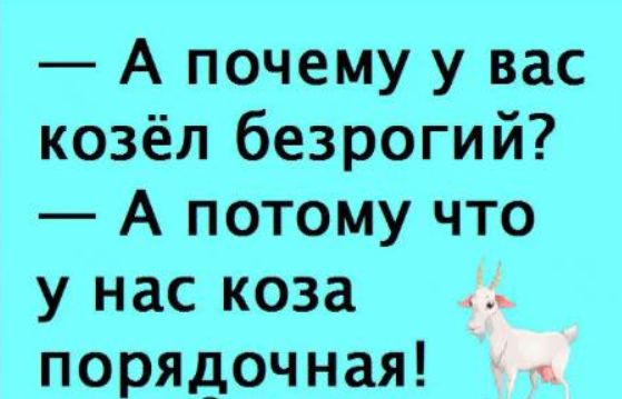 А почему у вас козёл безрогий А потому что у нас коза порядочная