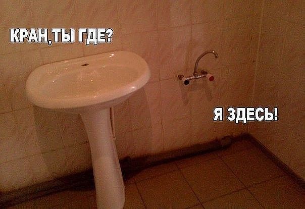 я здвсы