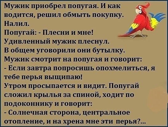 Мужик приобрел попугая И как водится решил обмыть покупку Налил Попугай Плесни и мне Удивленный мужик плеснул В общем уговорили они бутылку Мужик смотрит на попугая и говорит Если завтра попросишь опохмелиться я тебе перья выщипаю Утром просыпается и видит Попугай сложил крылья за спиной ходит по подоконнику и говорит Солнечная сторона центральное отопление и на хрена мне эти перья